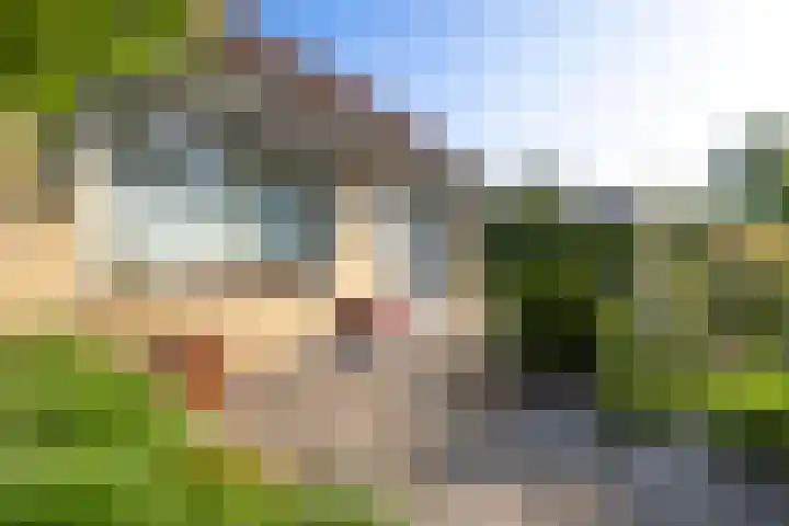 Arent van Gentstraat 12 Giessenburg thumbnail 45