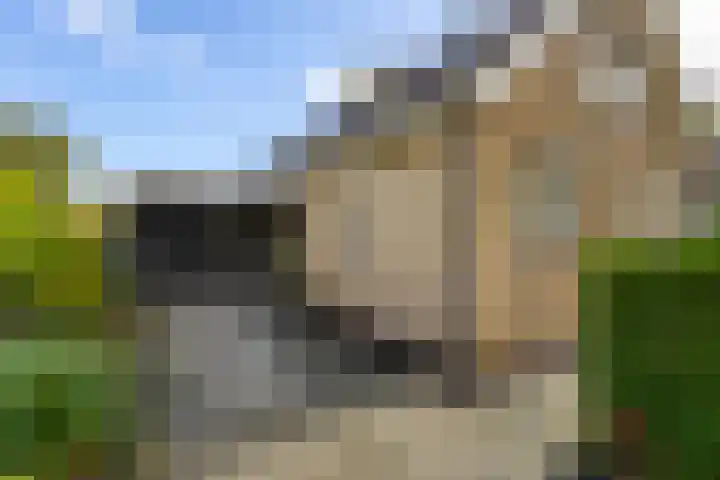 Arent van Gentstraat 12 Giessenburg thumbnail 47