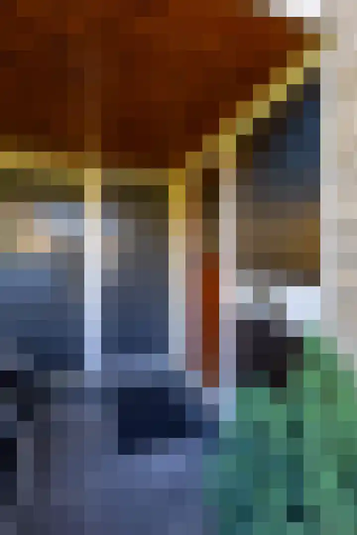 Arent van Gentstraat 12 Giessenburg thumbnail 48