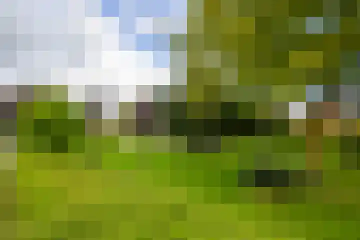 Arent van Gentstraat 12 Giessenburg thumbnail 55