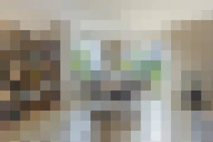 Arent van Gentstraat 12 Giessenburg thumbnail 7