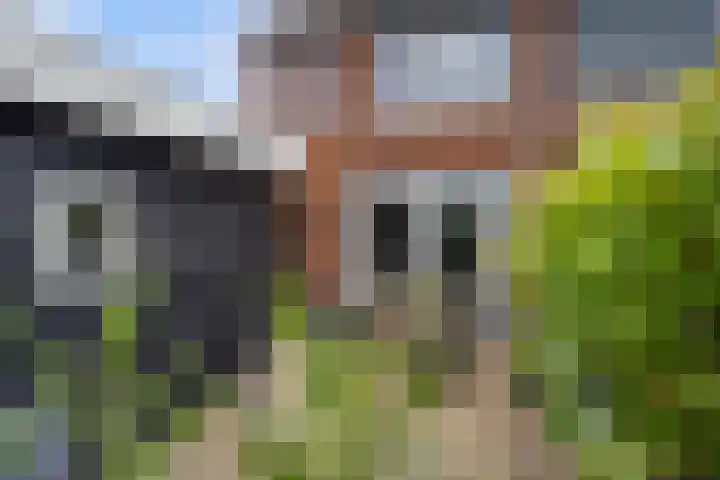 Arent van Lierstraat 13 D Puttershoek thumbnail 33