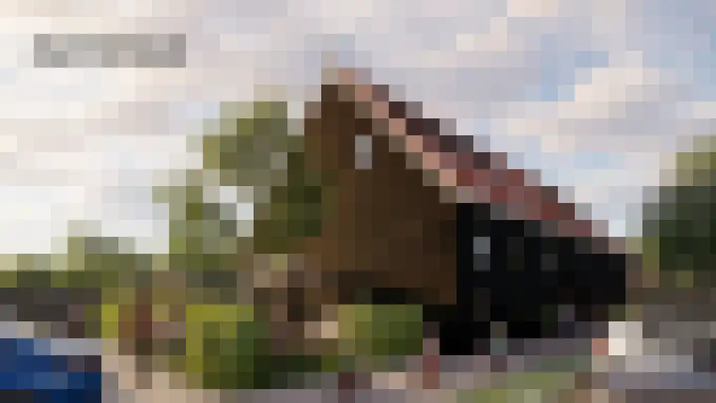 Arent van Lierstraat 26 A Puttershoek thumbnail 7