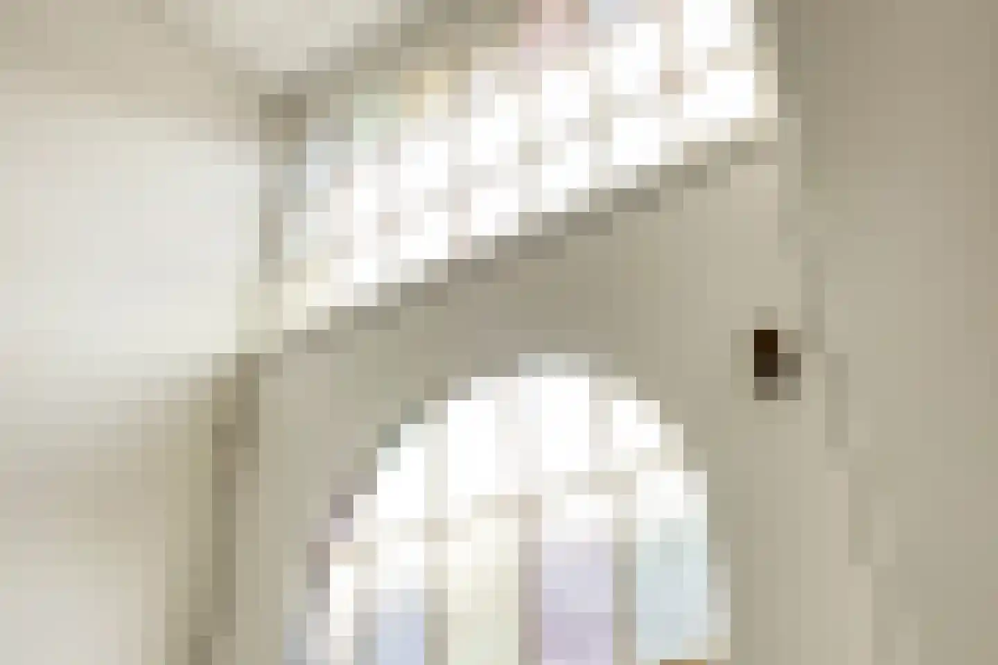 Arent van 's Gravesandestraat 10 Tilburg thumbnail 10