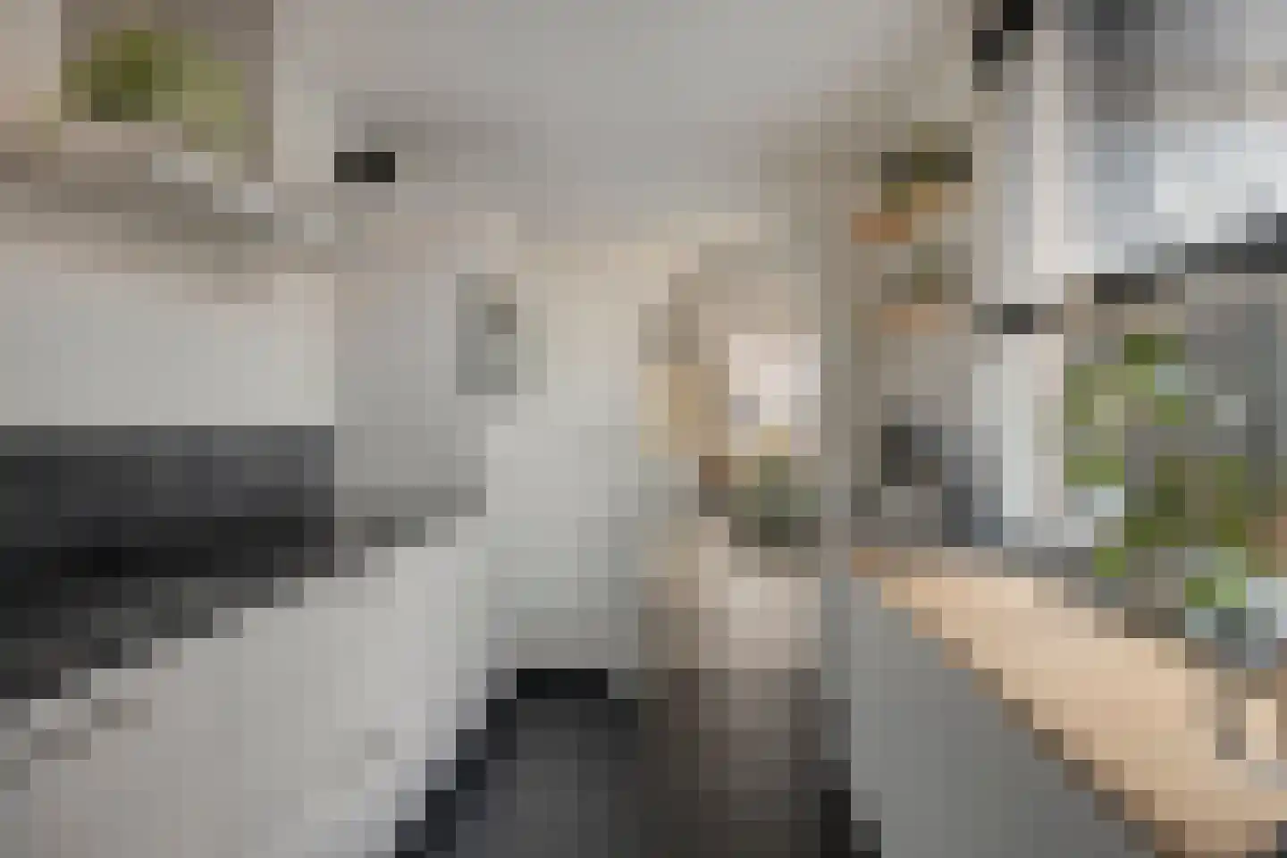Arent van 's Gravesandestraat 10 Tilburg thumbnail 15