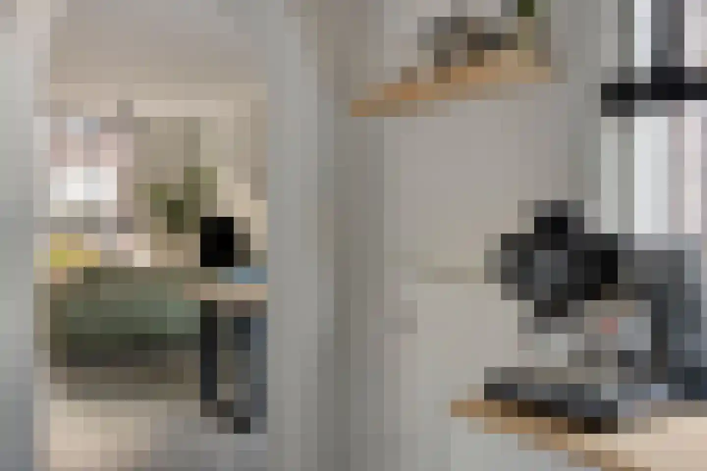 Arent van 's Gravesandestraat 10 Tilburg thumbnail 16