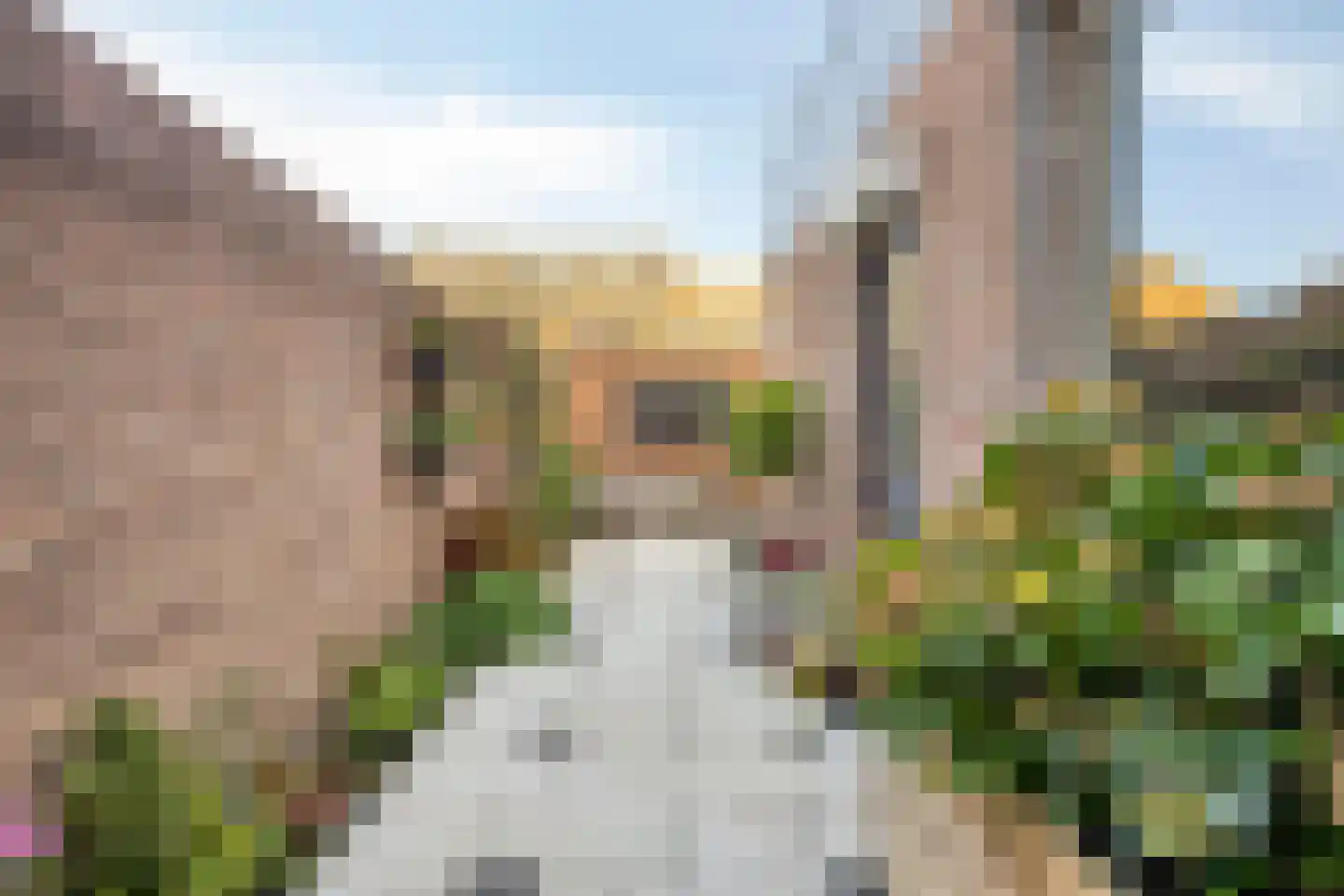 Arent van 's Gravesandestraat 10 Tilburg thumbnail 34