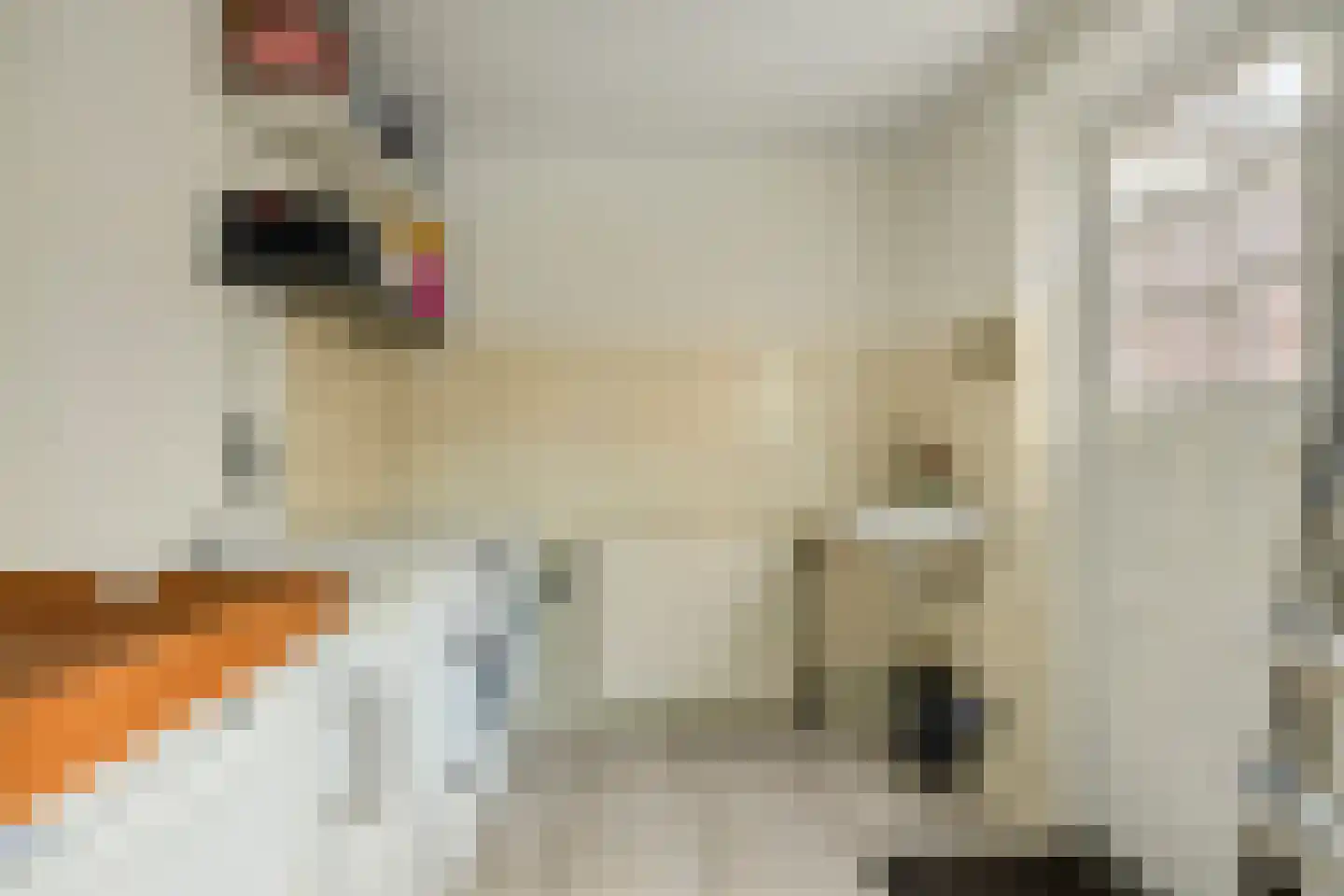 Arent van 's Gravesandestraat 10 Tilburg thumbnail 37