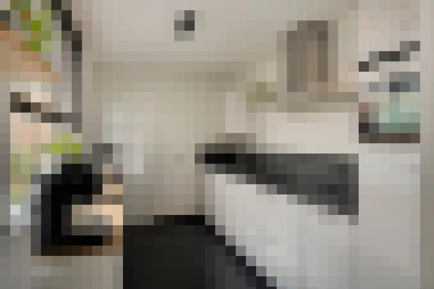 Arent van 's Gravesandestraat 10 Tilburg thumbnail 4