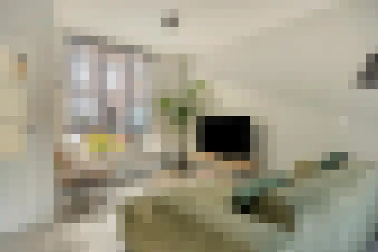 Arent van 's Gravesandestraat 10 Tilburg thumbnail 5