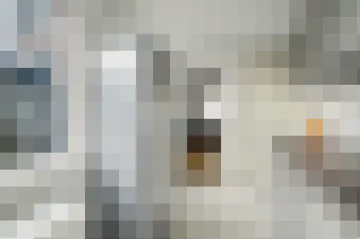 Arent van 's Gravesandestraat 28 Tilburg thumbnail 18