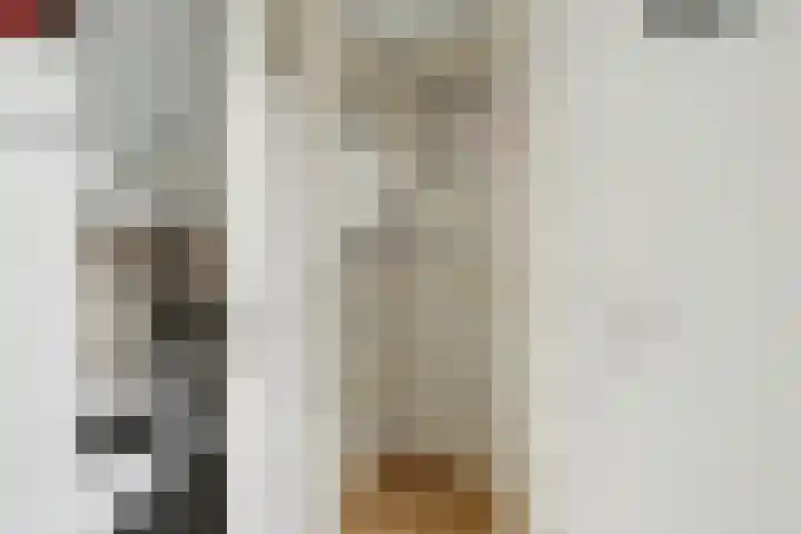 Arent van 's Gravesandestraat 28 Tilburg thumbnail 21