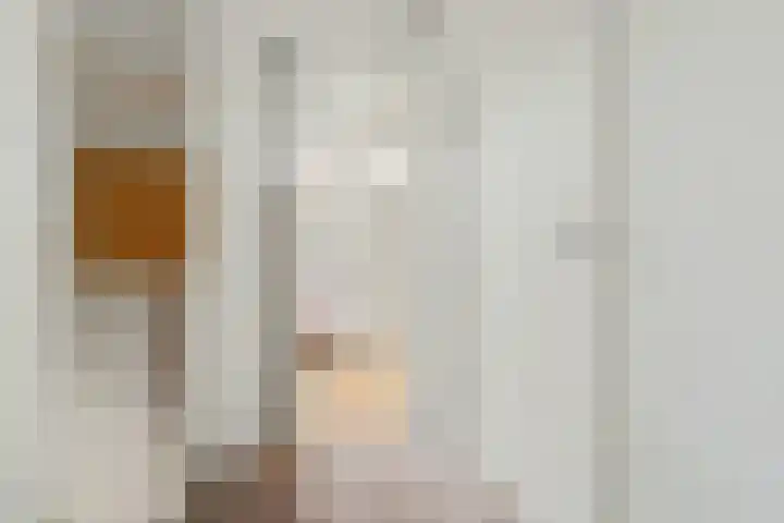 Arent van 's Gravesandestraat 28 Tilburg thumbnail 31