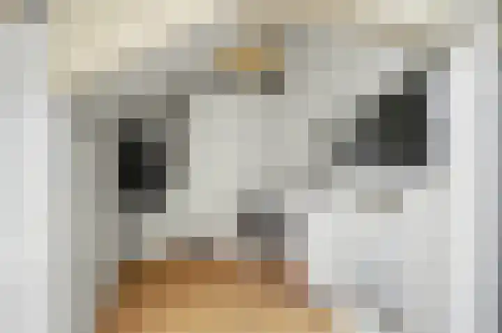 Arent van 's Gravesandestraat 28 Tilburg thumbnail 32