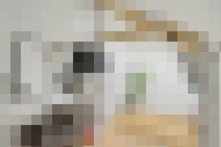 Arent van 's Gravesandestraat 28 Tilburg thumbnail 34