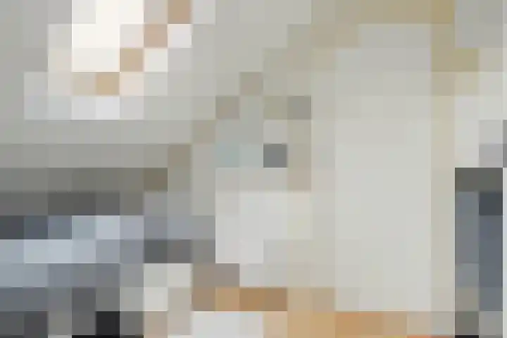 Arent van 's Gravesandestraat 28 Tilburg thumbnail 36