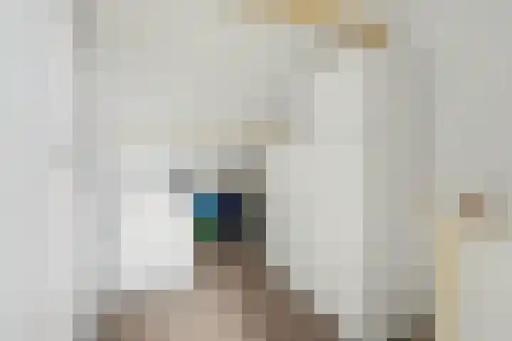 Arent van 's Gravesandestraat 28 Tilburg thumbnail 37