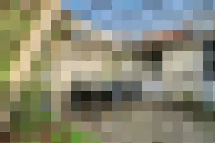 Arent van 's Gravesandestraat 28 Tilburg thumbnail 41