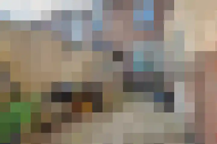 Arent van 's Gravesandestraat 28 Tilburg thumbnail 44