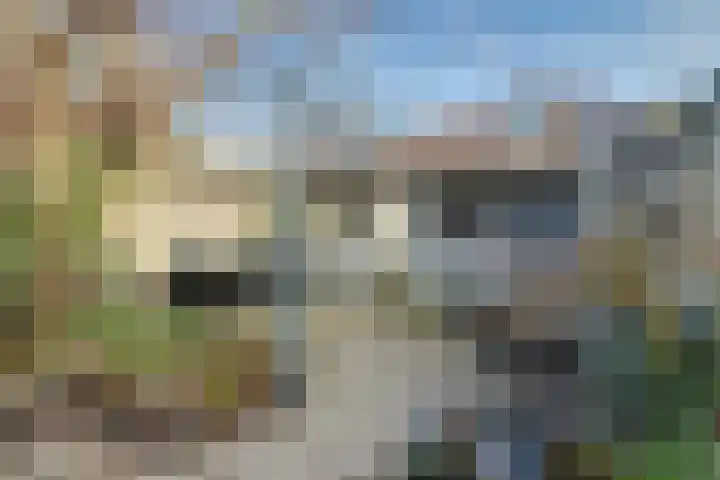 Arent van 's Gravesandestraat 28 Tilburg thumbnail 5