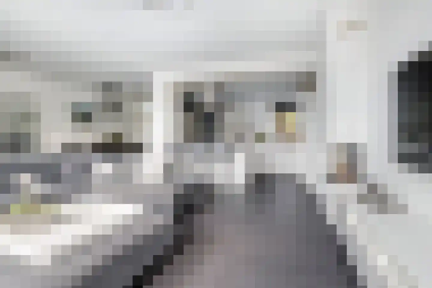 Arent van 's-Gravesandestraat 29 Rotterdam thumbnail 14