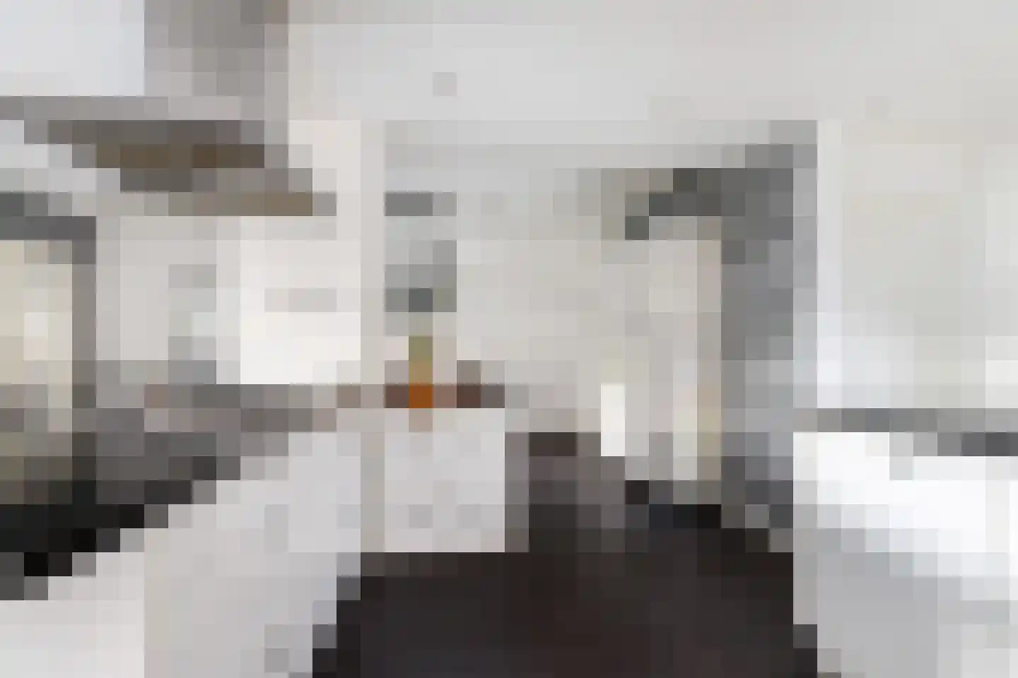 Arent van 's-Gravesandestraat 29 Rotterdam thumbnail 17