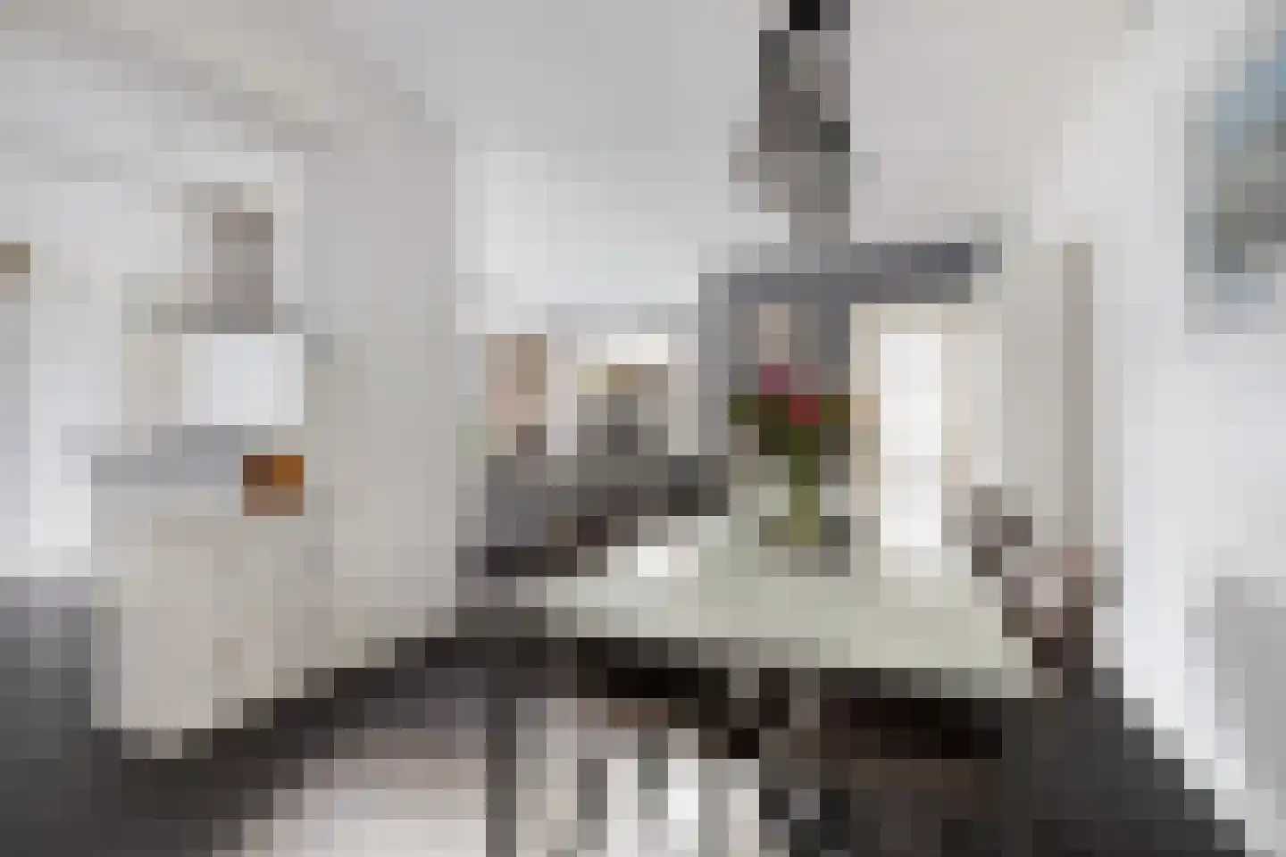Arent van 's-Gravesandestraat 29 Rotterdam thumbnail 22
