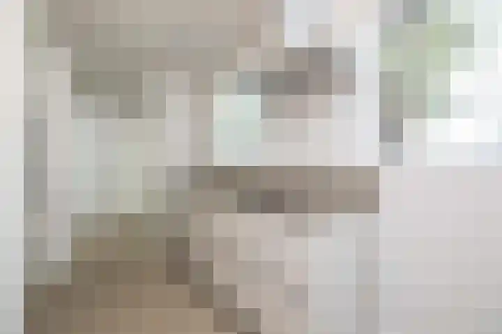 Arent van 's Gravesandestraat 3 Tilburg thumbnail 10