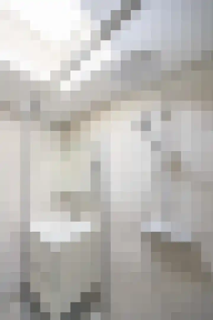 Arent van 's Gravesandestraat 3 Tilburg thumbnail 13