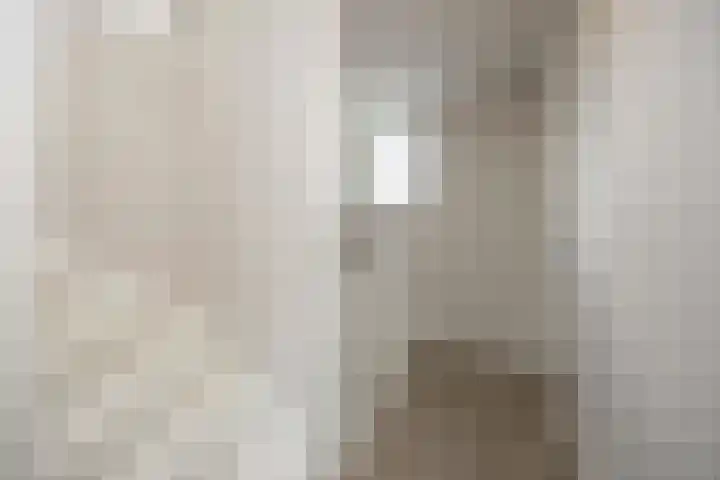 Arent van 's Gravesandestraat 3 Tilburg thumbnail 16