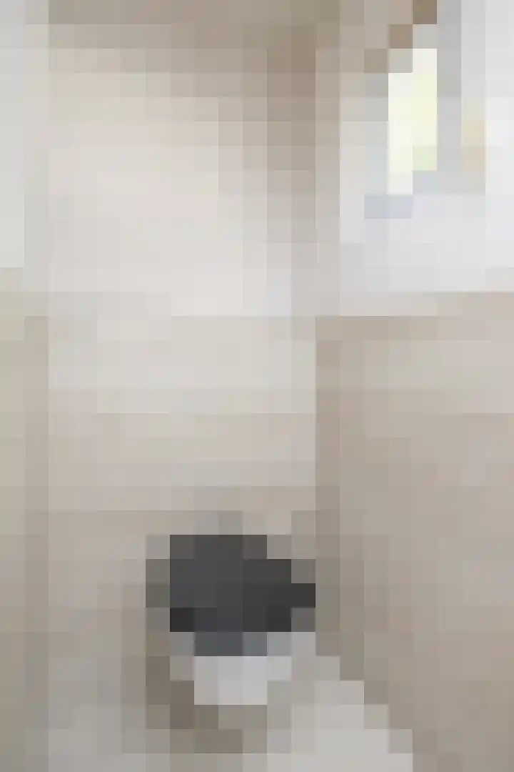 Arent van 's Gravesandestraat 3 Tilburg thumbnail 19