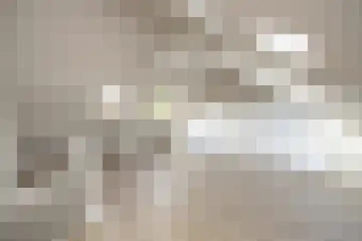 Arent van 's Gravesandestraat 3 Tilburg thumbnail 22