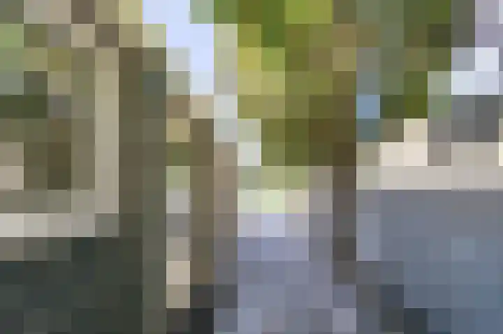 Arent van 's Gravesandestraat 3 Tilburg thumbnail 24
