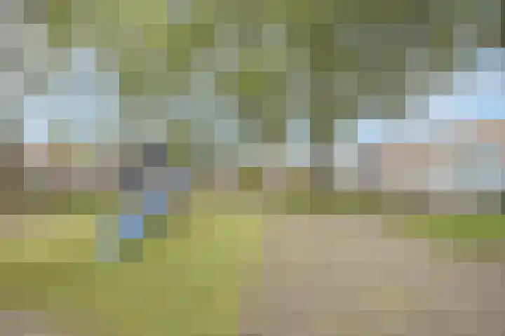Arent van 's Gravesandestraat 3 Tilburg thumbnail 27