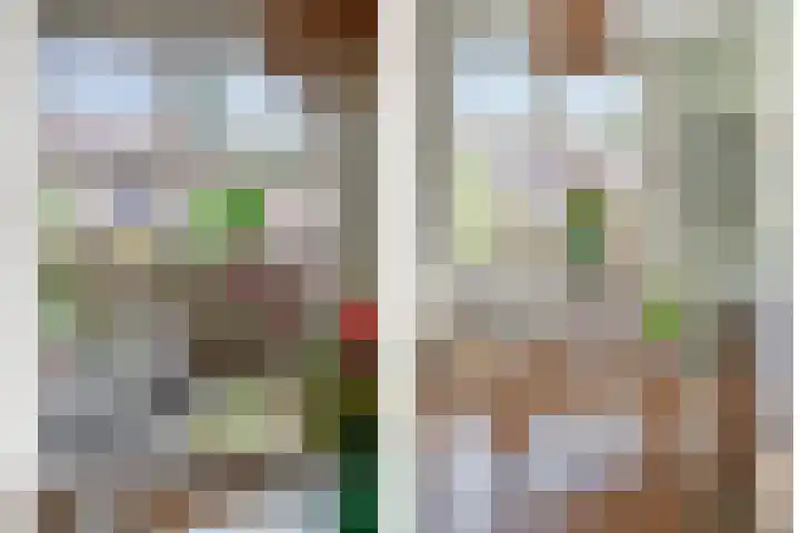 Arent van 's Gravesandestraat 40 Tilburg thumbnail 10