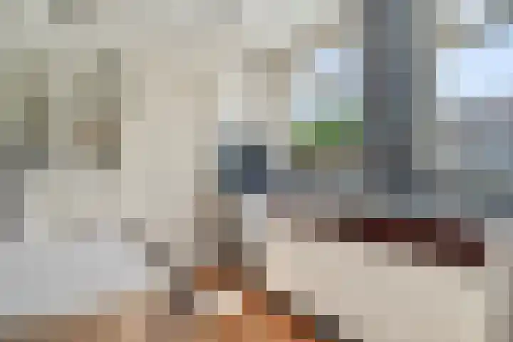 Arent van 's Gravesandestraat 40 Tilburg thumbnail 13