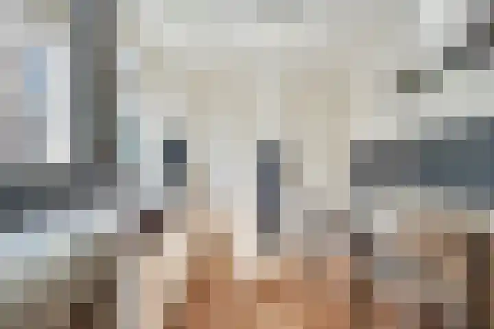 Arent van 's Gravesandestraat 40 Tilburg thumbnail 15