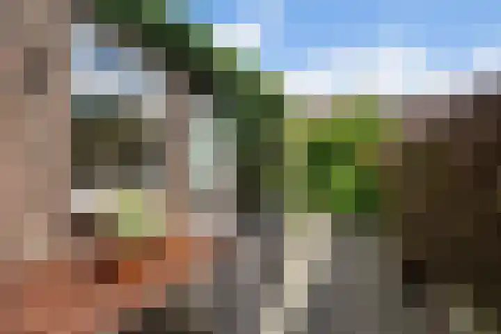 Arent van 's Gravesandestraat 40 Tilburg thumbnail 37