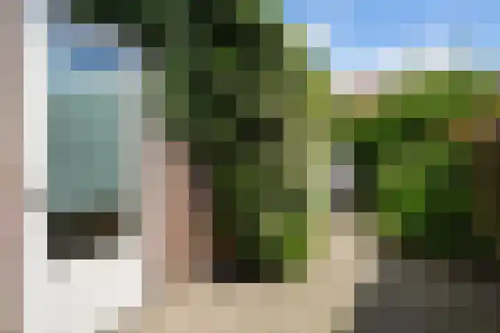 Arent van 's Gravesandestraat 40 Tilburg thumbnail 39