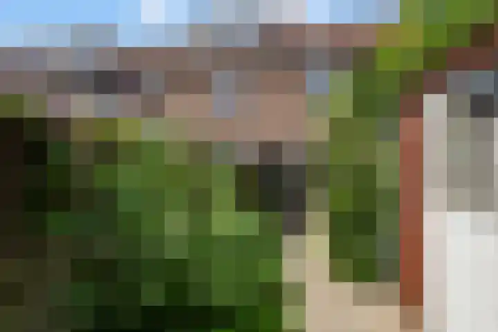 Arent van 's Gravesandestraat 40 Tilburg thumbnail 41