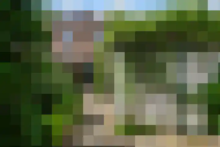 Arent van 's Gravesandestraat 40 Tilburg thumbnail 42