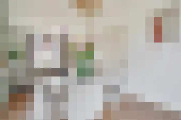 Arent van 's Gravesandestraat 40 Tilburg thumbnail 8