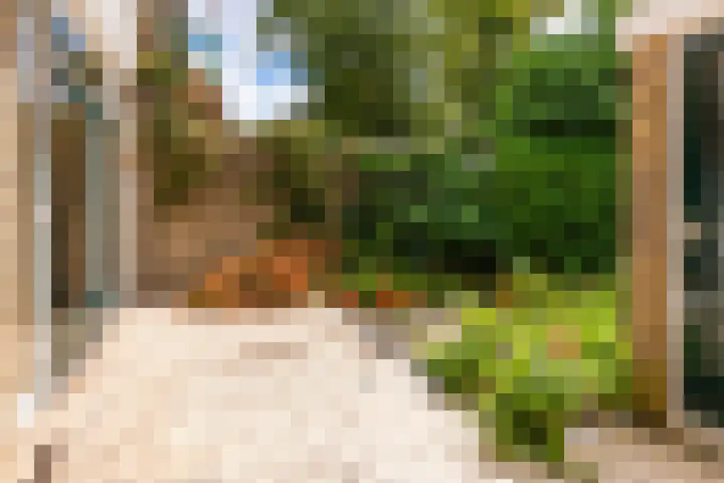 Arent van 's-Gravesandestraat 6 Rotterdam thumbnail 15