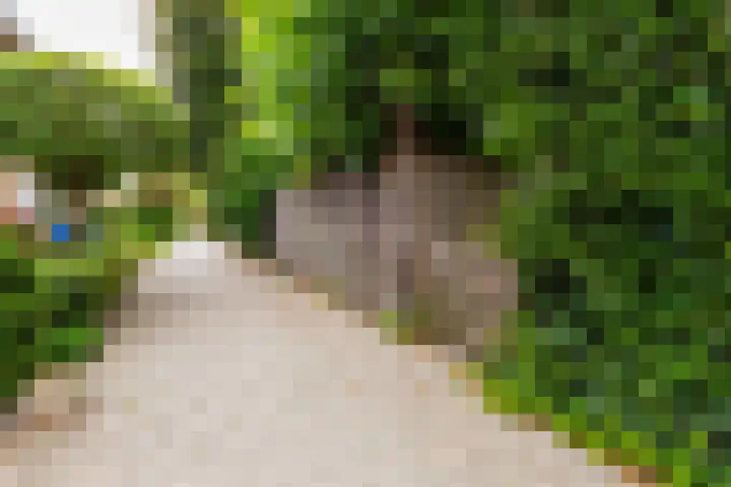 Arent van 's-Gravesandestraat 6 Rotterdam thumbnail 43