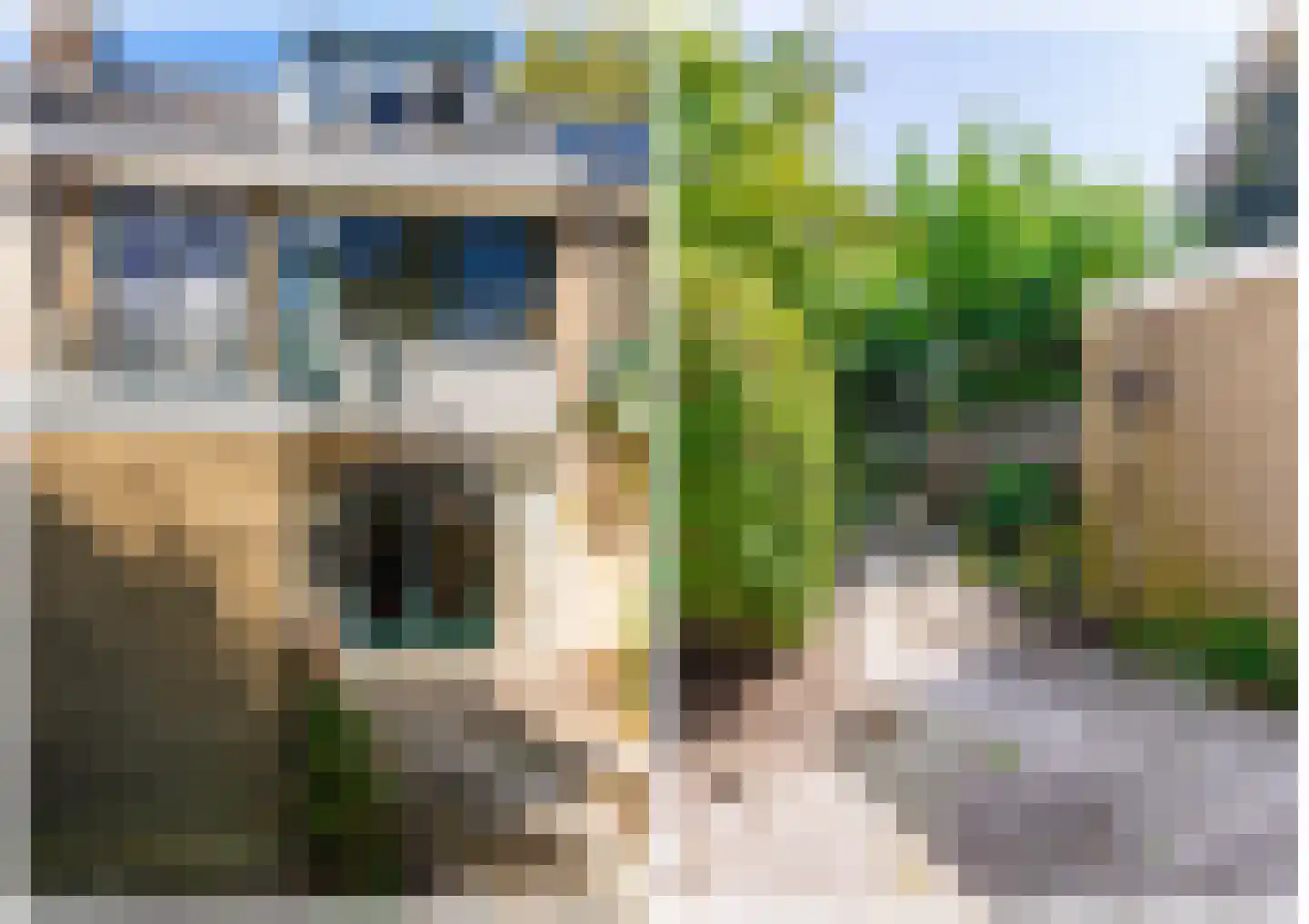Arent van 's-Gravesandestraat 6 Rotterdam thumbnail 44