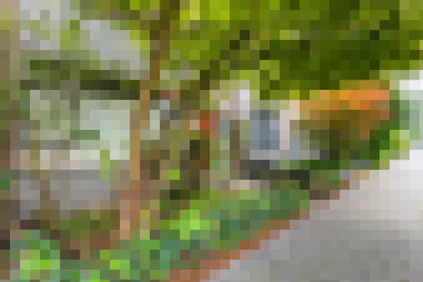Arent van 's-Gravesandestraat 6 Rotterdam thumbnail 47