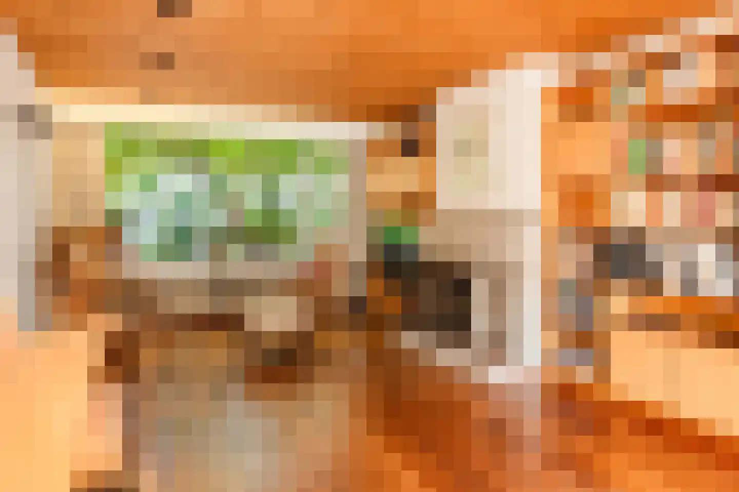 Arent van 's-Gravesandestraat 6 Rotterdam thumbnail 9