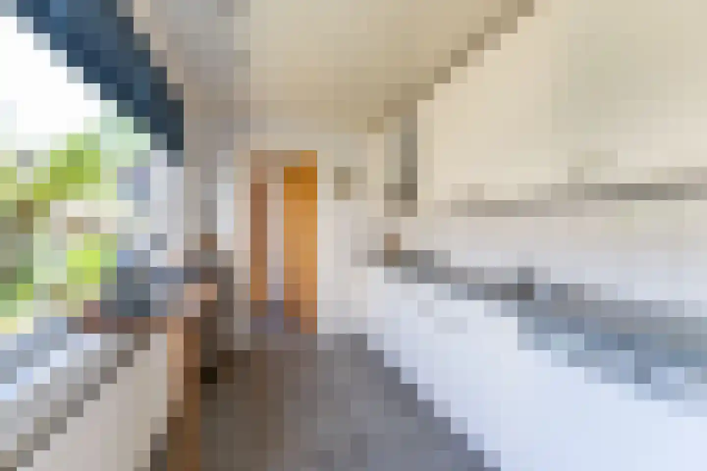 Arent van 's Gravesandestraat 6 Tilburg thumbnail 10