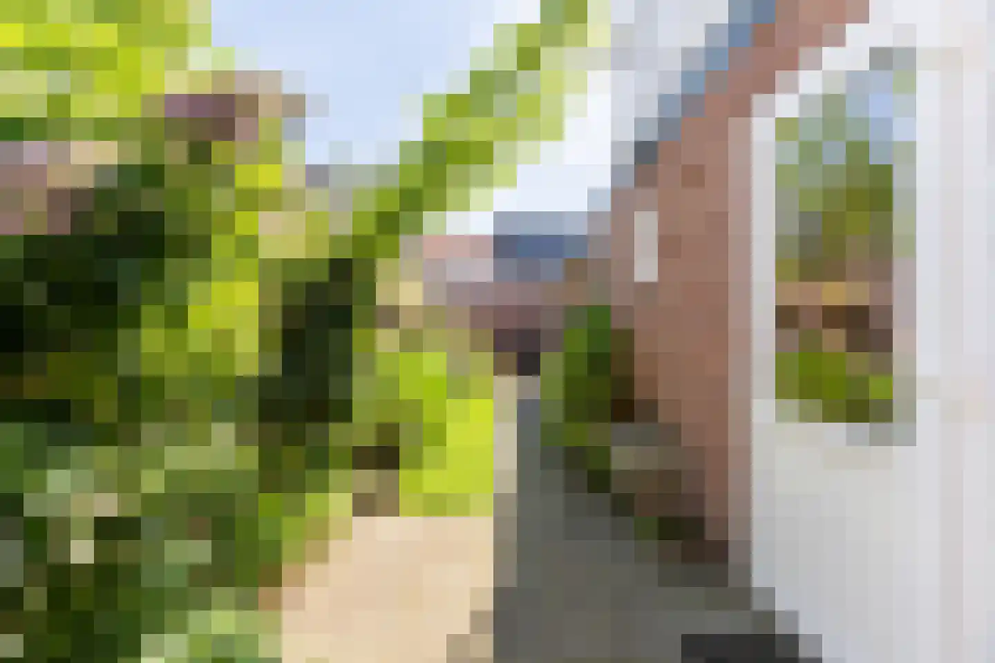 Arent van 's Gravesandestraat 6 Tilburg thumbnail 18