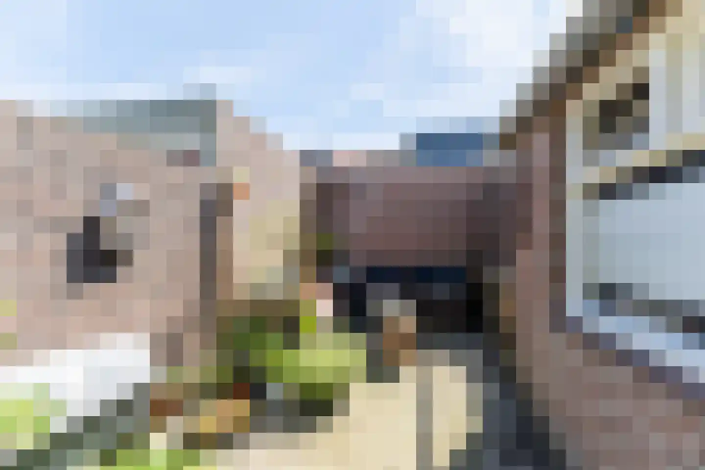 Arent van 's Gravesandestraat 6 Tilburg thumbnail 19